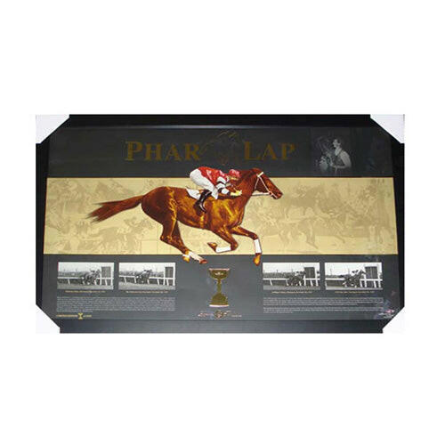 Pharlap Print Framed