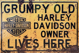 Harley Davidson Grumpy Owner Lives Here Retro Metal Sign - 600 x 400mm