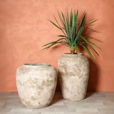 Olive Jar