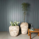 Olive Jar