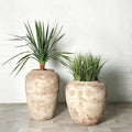 Olive Jar