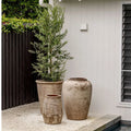 Olive Jar