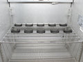 Schmick SK118L-B bar fridge - product view 10