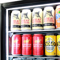 Schmick SK245-SD bar fridge - angle view