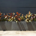Concrete Grey / 750mm x 200mm x 600mm H - 13kg - 80L