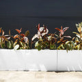 White / 750mm x 200mm x 600mm H - 13kg - 80L