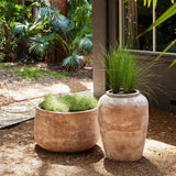 Olive Jar