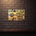 HARLEY DAVIDSON GRUMPY OWNER LIVES HERE 600 X 400 MM METAL SIGN