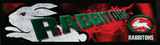 South Sydney Rabbitohs NRL Premium Rubber-Backed Bar Mat Runner - image 1