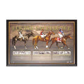 Carbine, Phar Lap & Makybe Diva Equine Excellence Print Framed - KING CAVE