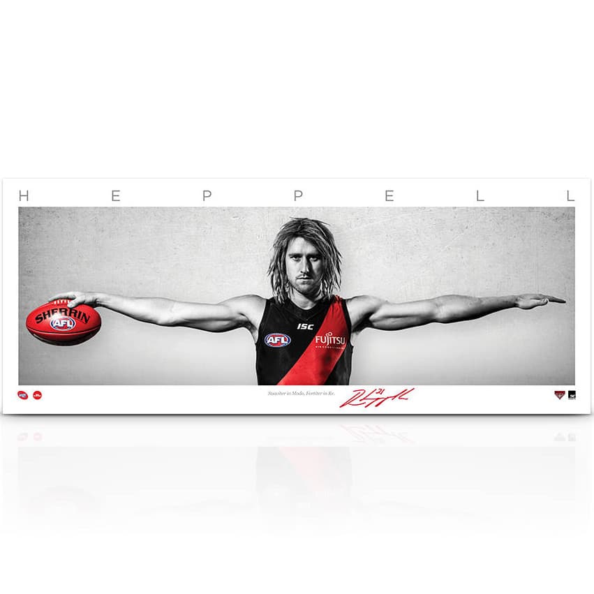 Dyson Heppell Mini Wings Framed - KING CAVE