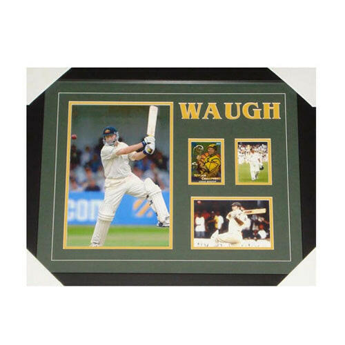 Steve Waugh Signed Collage